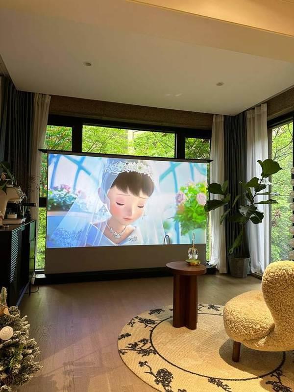 pSeek满血版的千元投影仪当贝Smart1pg电子中文模拟器2025年首款搭载Dee(图8)