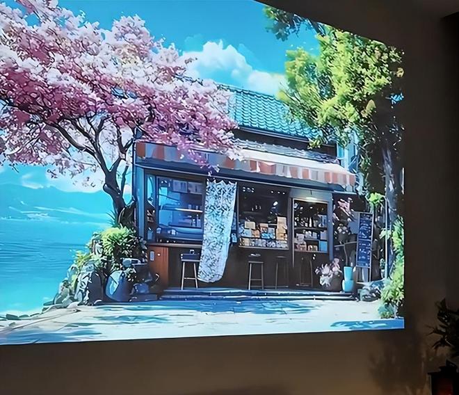 K2 Pro 评测：租房党平替电视优选p